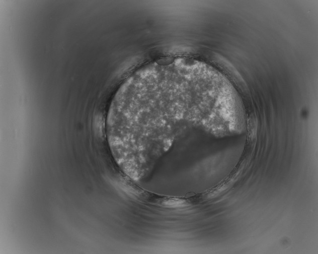 X0000094060669200711161525