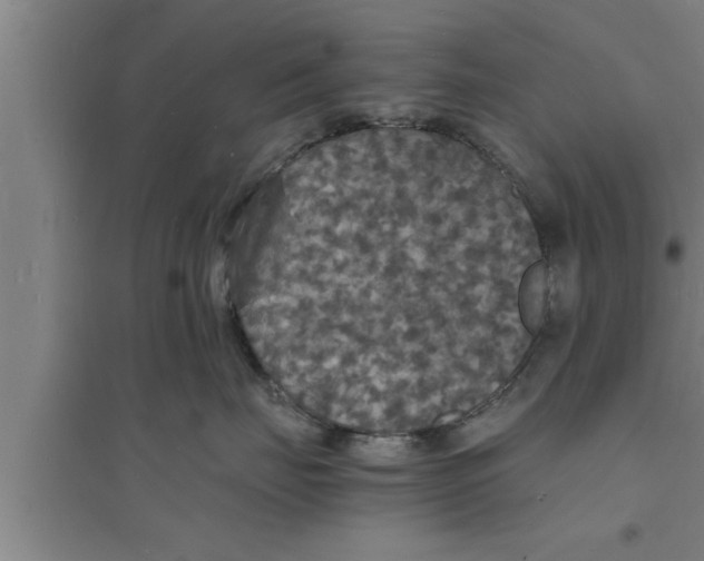 X0000094060671200711161526