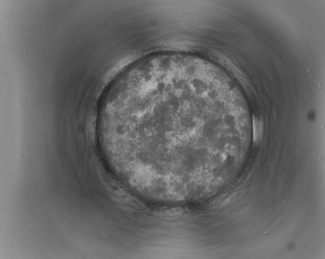 X0000094060675200711161525