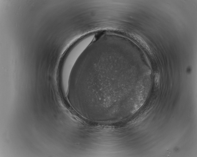 X0000094060676200711161525