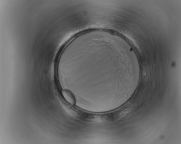 X0000094060678200711161525