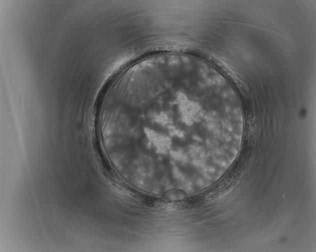 X0000094060679200711161525