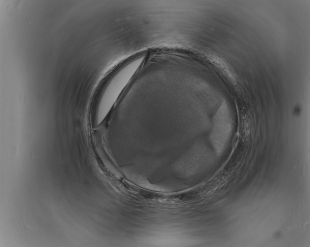 X0000094060680200711161525