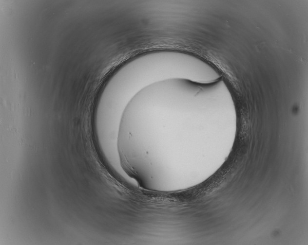 X0000094060681200711161525