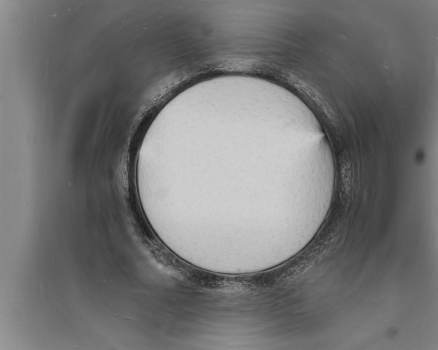 X0000094060682200711161525