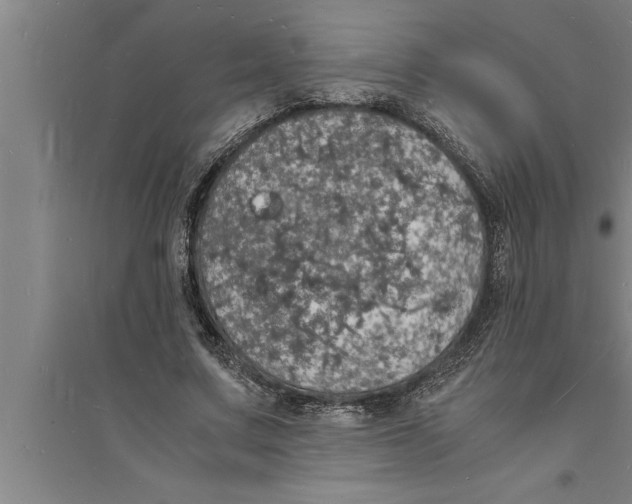 X0000094060683200711161525