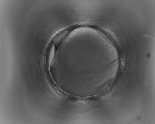 X0000094060684200711161525