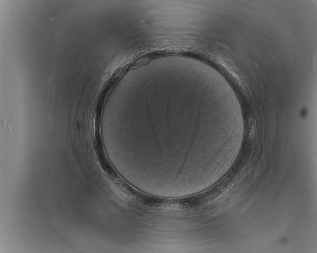 X0000094060685200711161525