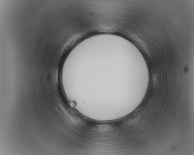 X0000094060686200711161524