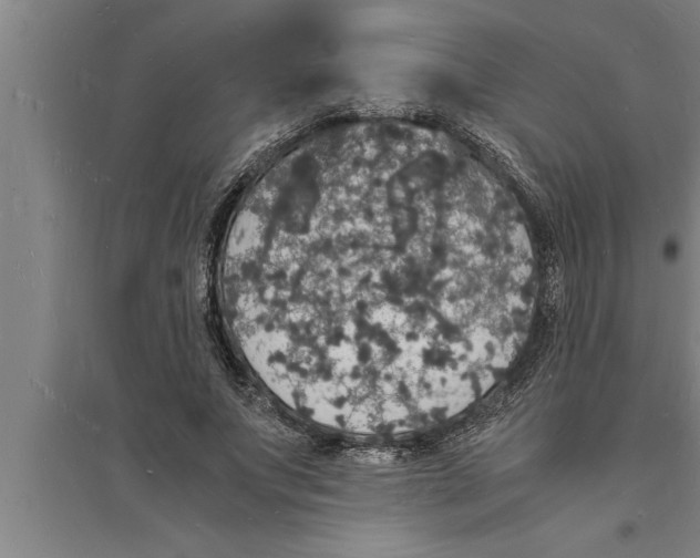 X0000094060687200711161524