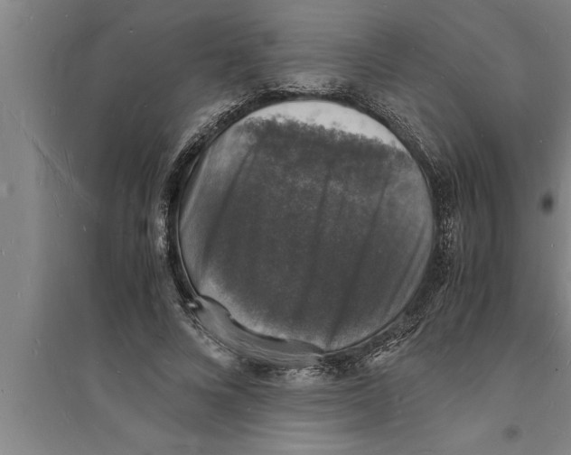 X0000094060688200711161524