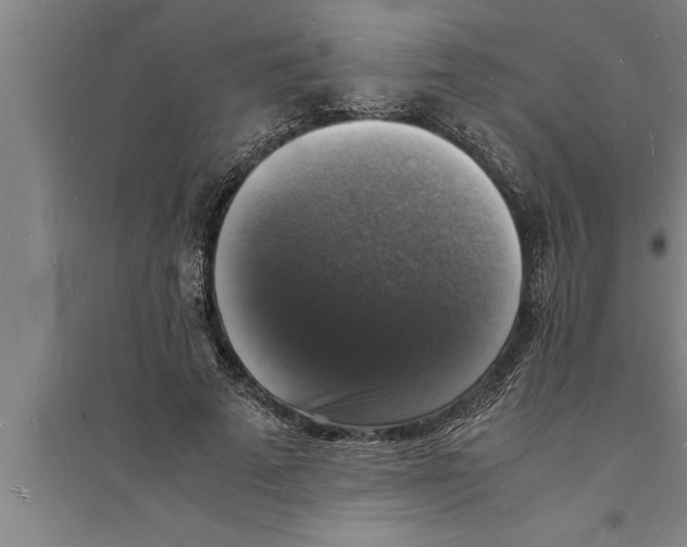 X0000094060689200711161524