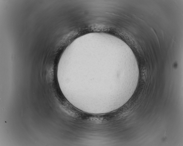 X0000094060690200711161524