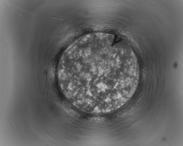 X0000094060691200711161524