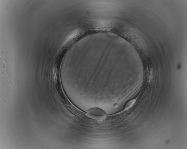 X0000094060692200711161524