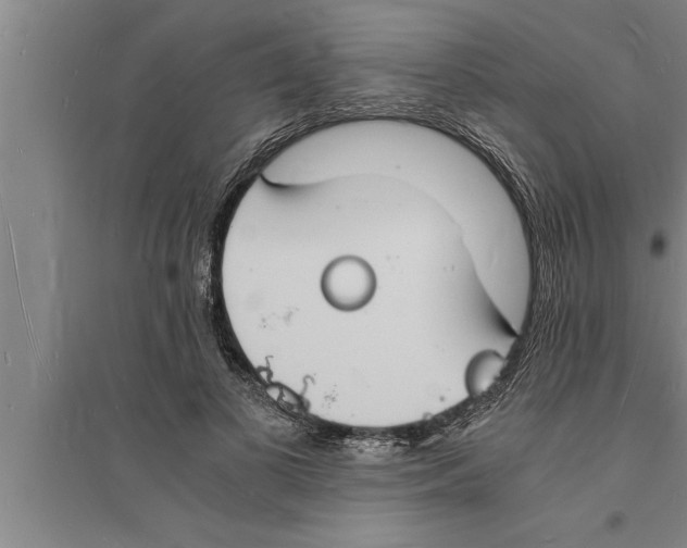 X0000094060693200711161524