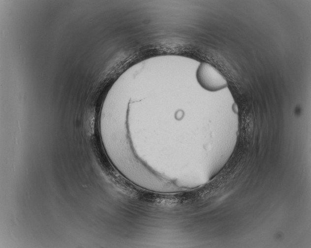 X0000094060694200711161524