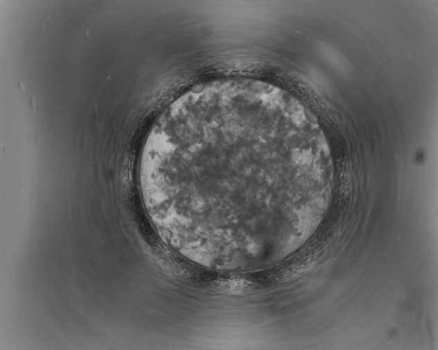 X0000094060695200711161524