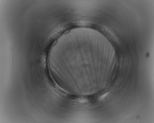 X0000094060696200711161524