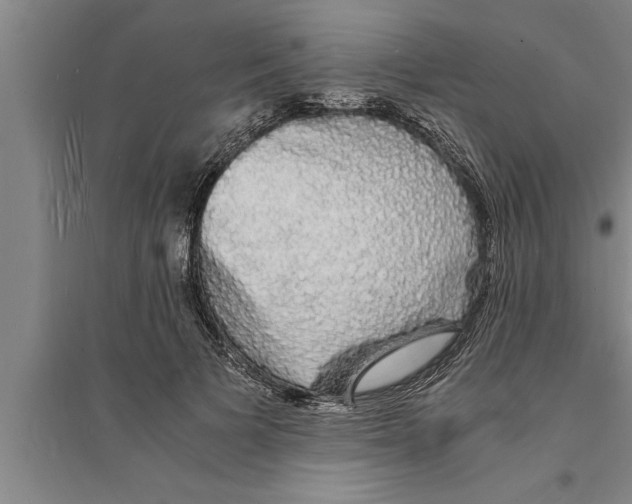 X0000094060697200711161524