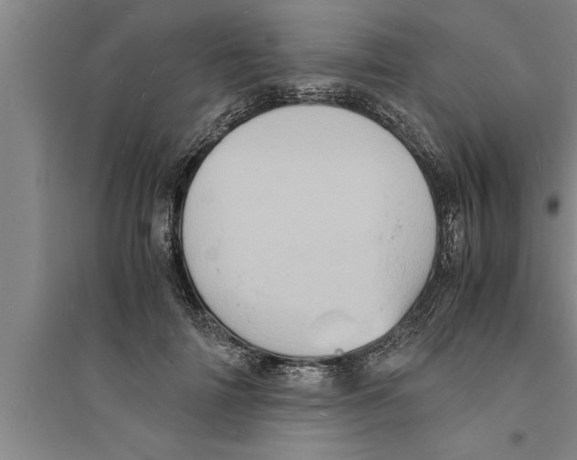 X0000094060698200711161524