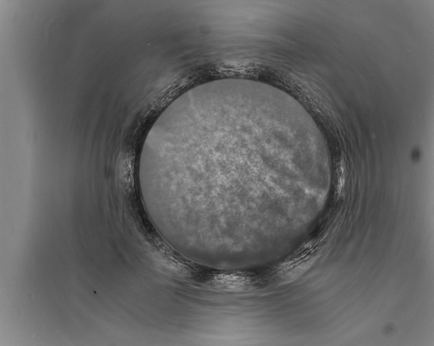 X0000094060699200711161524