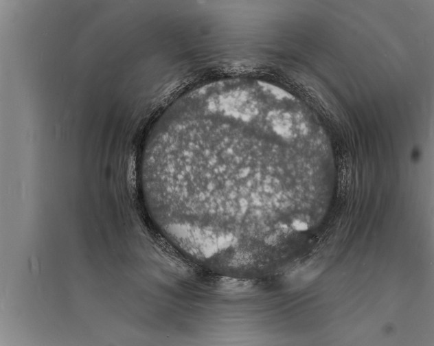 X0000094060700200711161524