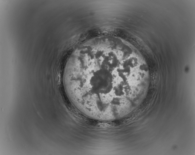 X0000094060703200711161524