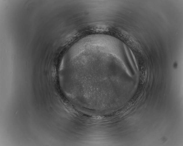 X0000094060704200711161524