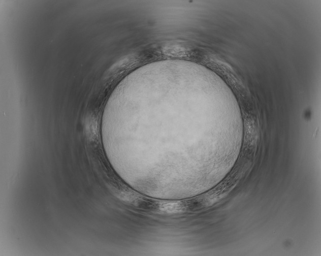 X0000094060705200711161524