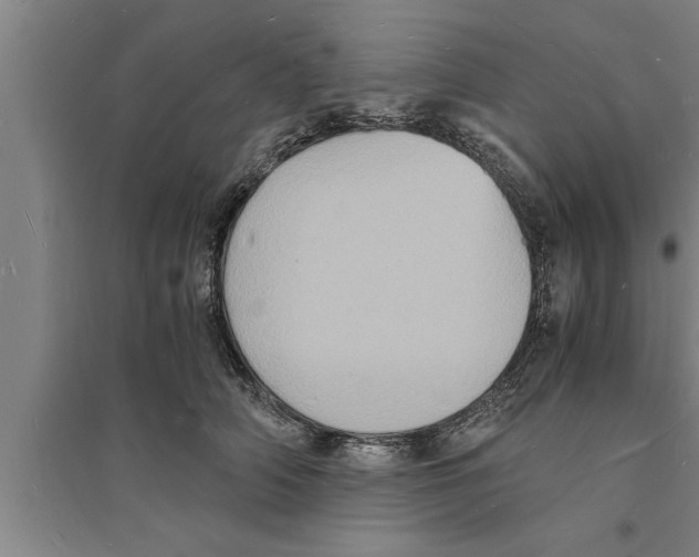 X0000094060706200711161524