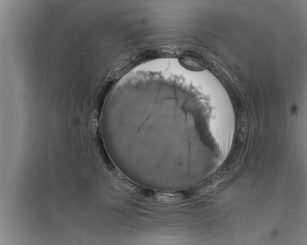 X0000094060707200711161524