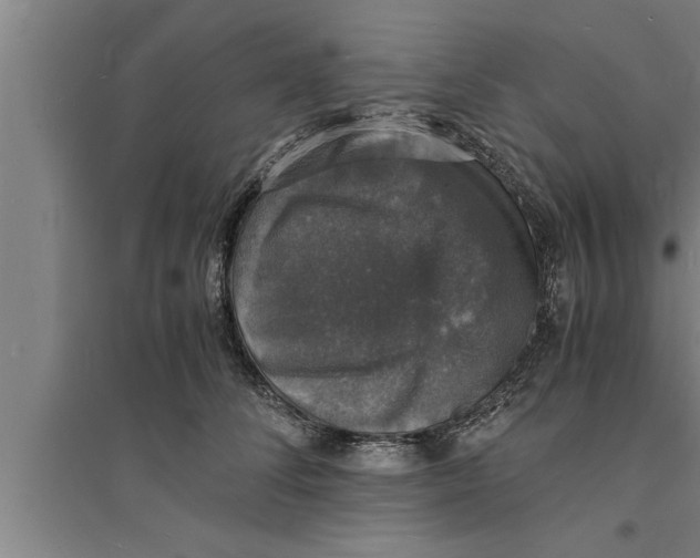 X0000094060708200711161524