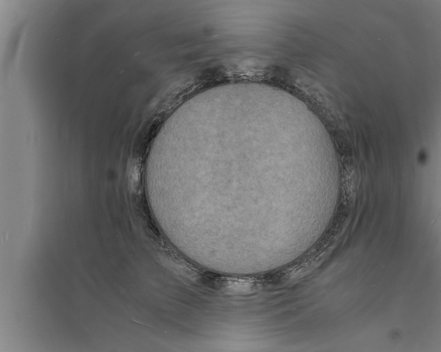 X0000094060709200711161524