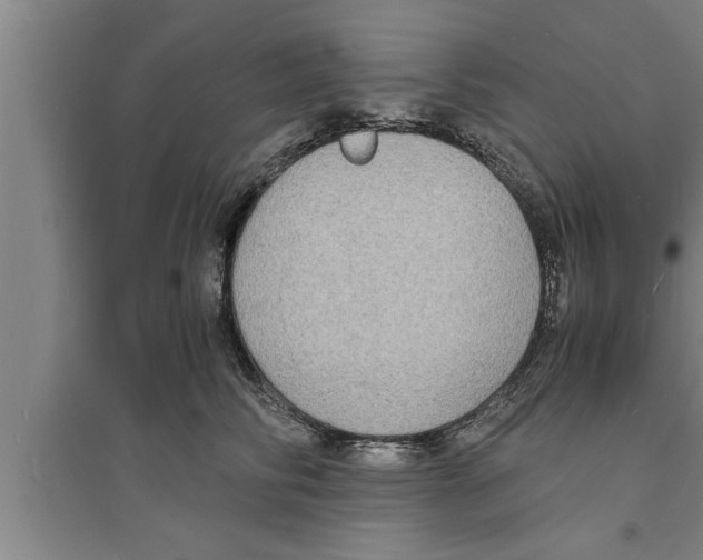 X0000094060710200711161524