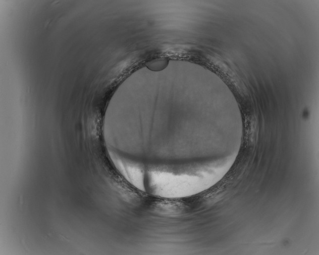 X0000094060712200711161524