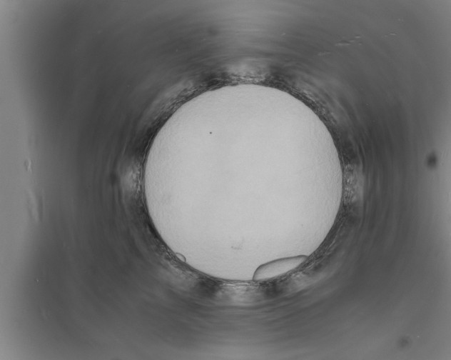 X0000094060713200711161524