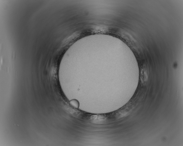 X0000094060714200711161524