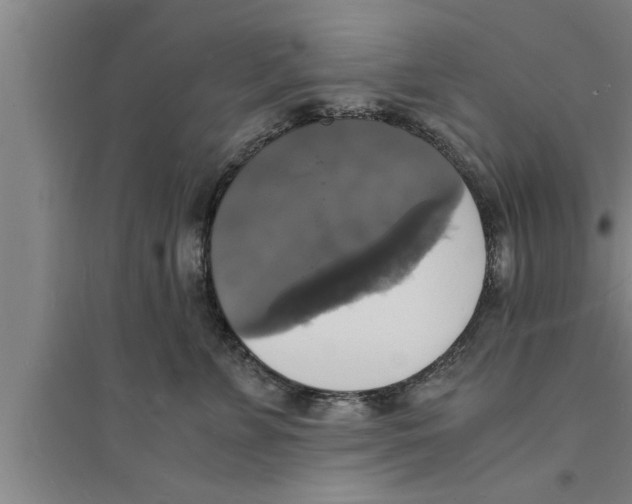 X0000094060715200711161524