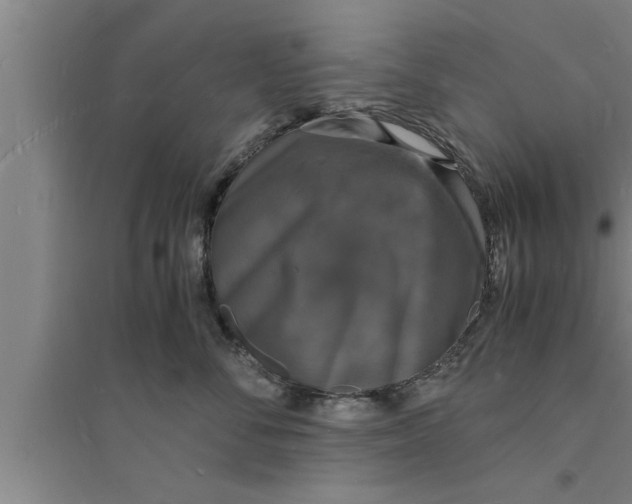 X0000094060716200711161524