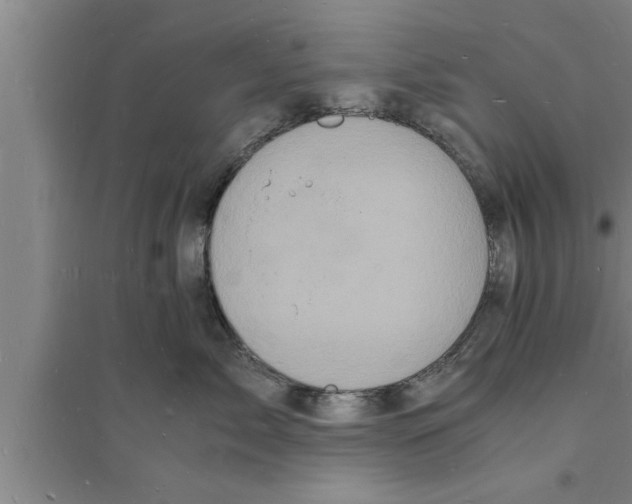 X0000094060717200711161524