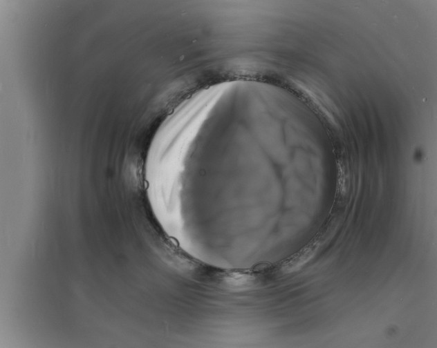 X0000094060718200711161524