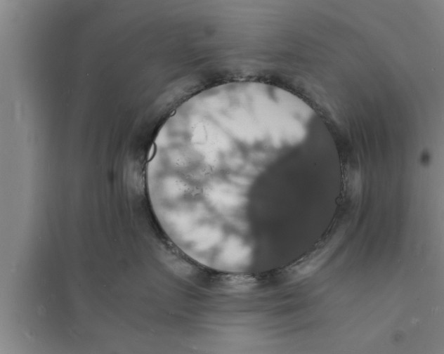 X0000094060719200711161524