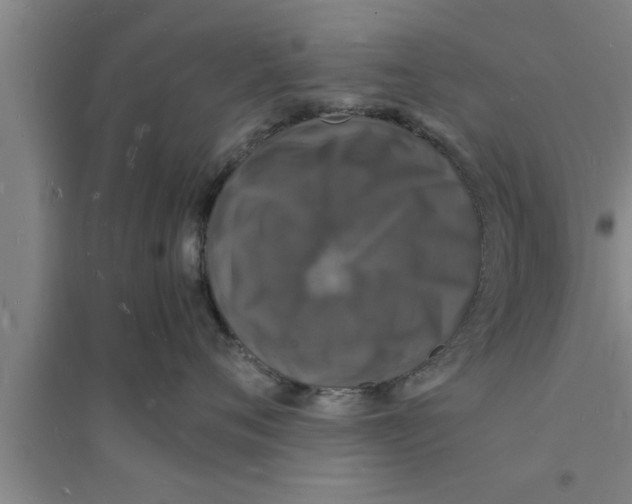 X0000094060720200711161524