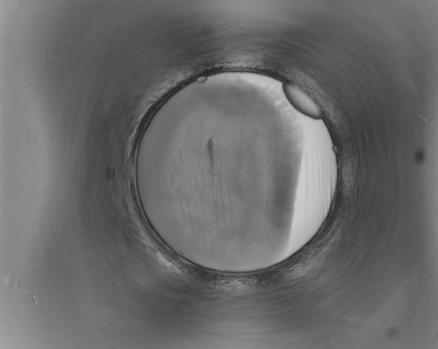 X0000094060721200711161523