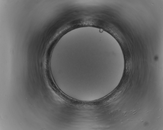 X0000094060722200711161523