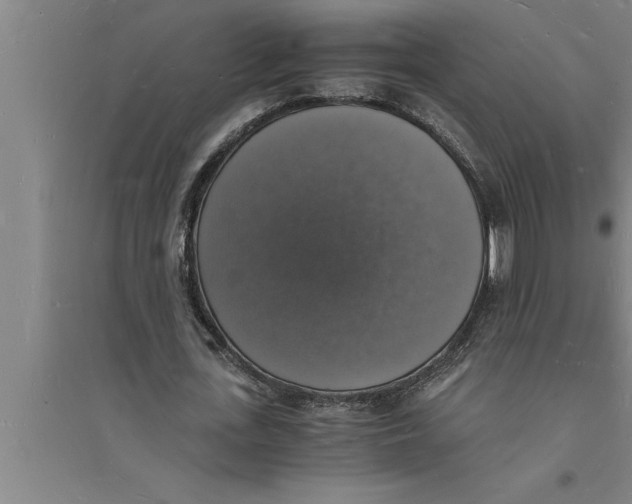 X0000094060723200711161523