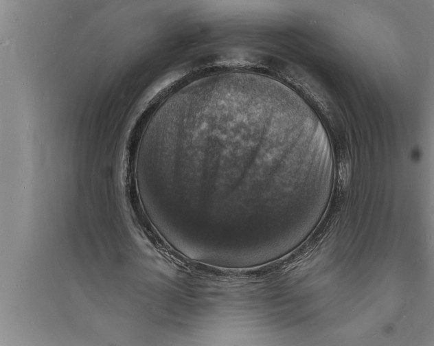 X0000094060724200711161523