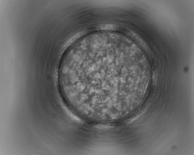 X0000094060725200711161523