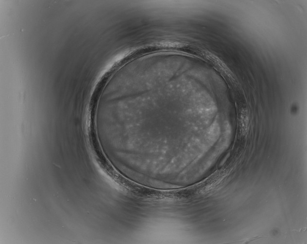 X0000094060726200711161523